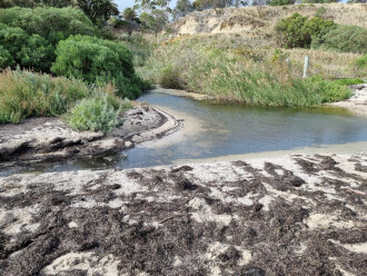 Griggs Creek outlet sandbank, view upstream (South)