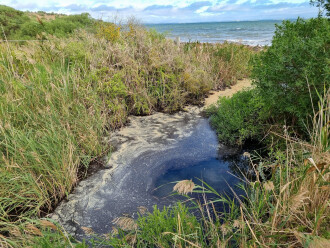 Griggs Creek, water sampling site, view downstream (North)
