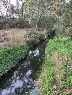 Stony Creek Cruickshank Park, Yarraville downstream
