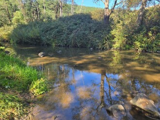 upstream