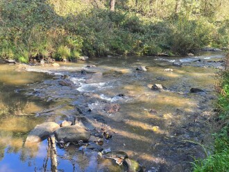 downstream
