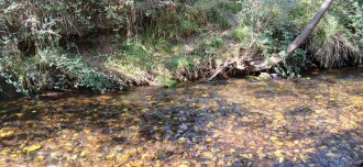 Downstream from sampling collection area