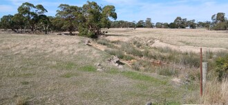 Looking Downstream