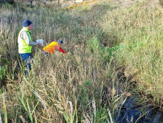 Water collection site