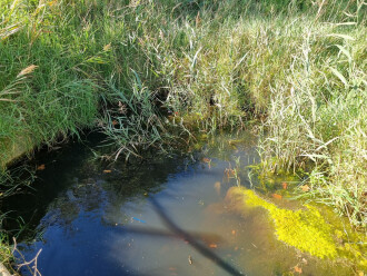 Water pooling due to blocked outlet pipe