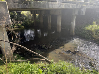 Sampling site photo 1