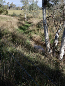channel 500m north of Stewarts lane, taken on 5/05/2026