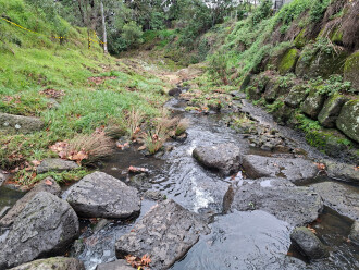Downstream