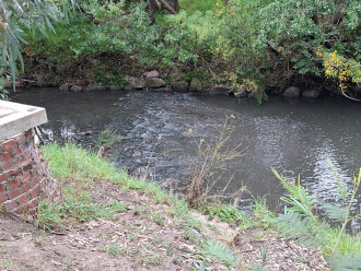 Upstream riffle