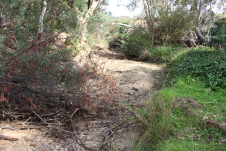 Down stream