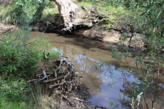 Pool down stream