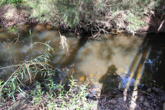 Site