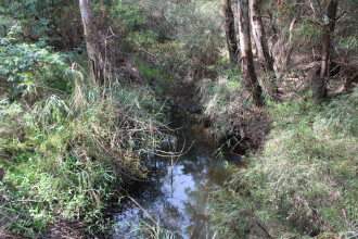Upstream