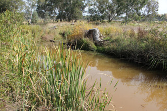 Down stream