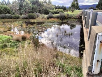 after 50mm plus rain 2 days prior