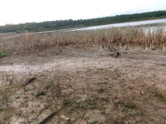 very low water level