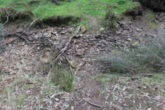 Site