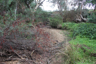 Down stream