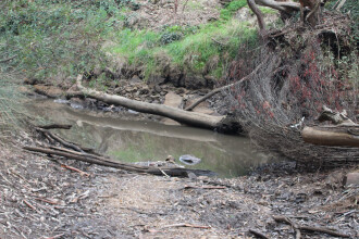 Pool further down stream