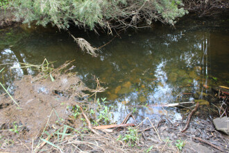 Site