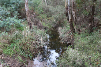 Upstream