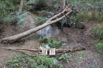 Down stream