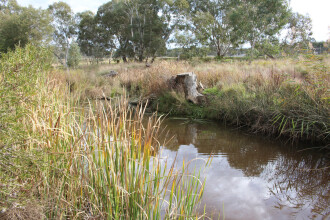 Down stream