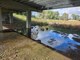Extra flow and extra width of creek today
