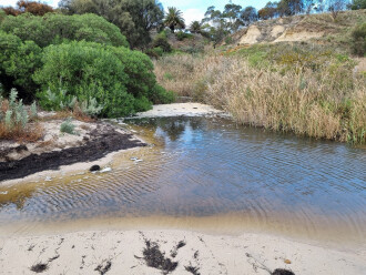 Griggs Creek outflow blocked by sand bank