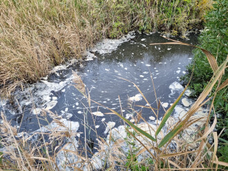 Griggs Creek water pool upstream of outflow into the bay