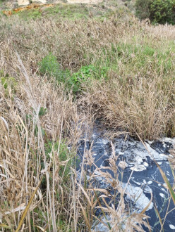 Water was sampled at the entrance to the downstream pool