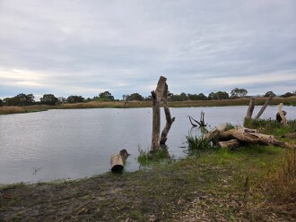 wetlands