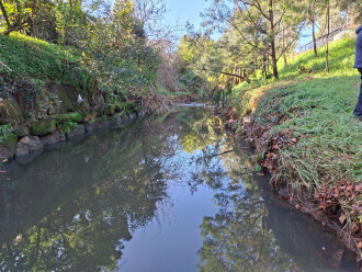 upstream view: earlier water flow visible in flattened grass