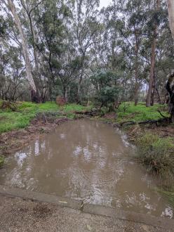 Can see the height of the water against the foot bridge.