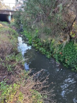 Stony Creek, Cruickshank Park, Yarraville, upstream