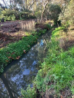 Stony Creek, Cruickshank Park, Yarraville, downstream