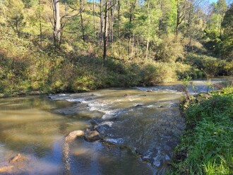looking downstream