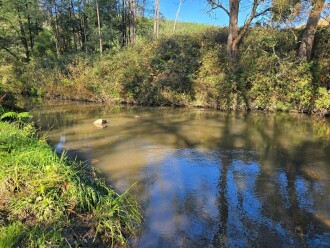 looking upstream