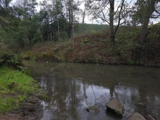 Looking upstream