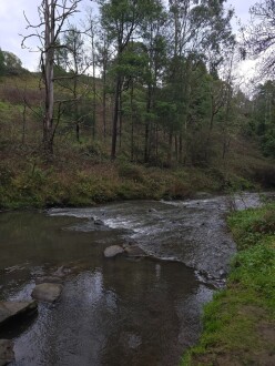Looking downstream