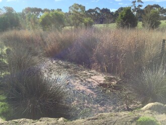 Upstream view