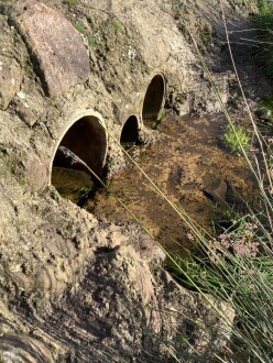 Stream flow thru culvert