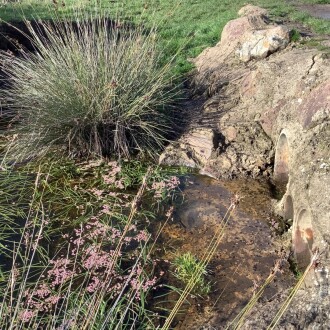 Upstream