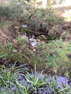 Upstream view