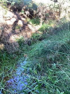 Downstream view