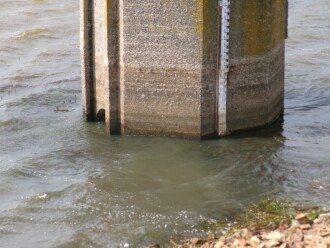 collected samples from this area