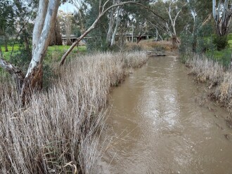 Bland Reserve looking toward Pyrenees Highway same location as above. First time  you can see the water flow in recent years with a lot of the reeds washed further down stream.