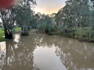 Looking North, downstream from the pedestrian bridge at Bland Reserve