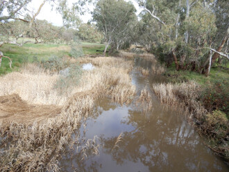taken on 4/07/2026 looking downstream