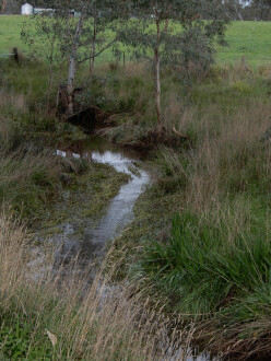 taken on 4/07/2026 showing water flow in the channel 500m north of Stewarts lane